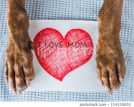 Dog paws and a card with words of love for Mom 114316032