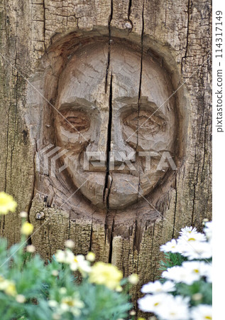 face sculpture on tree face sculpture on tree 114317149