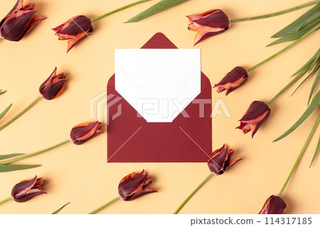 Burgundy envelope with clean white sheet of paper for your text and spring flowers burgundy tulips on beige background. Invitation to the holidays. Flat lay. Burgundy envelope with clean white sheet of paper for your text and spring flowers burgundy tulips on beige background. Invitation to the holidays. Flat lay. 114317185