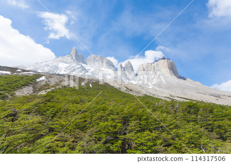French Valley landscape, Torres del Paine, Chile 114317506