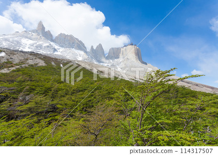 French Valley landscape, Torres del Paine, Chile 114317507
