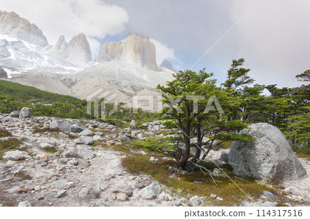 French Valley landscape, Torres del Paine, Chile French Valley landscape, Torres del Paine, Chile 114317516