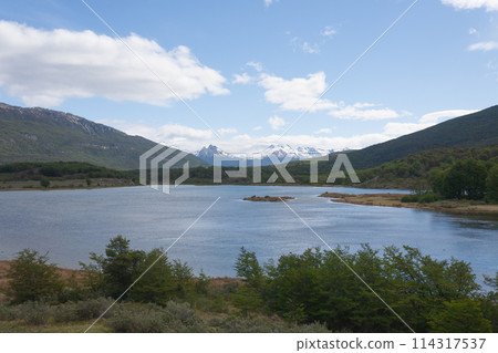 Lapataia bay landscape, Tierra del Fuego, Argentina Lapataia bay landscape, Tierra del Fuego, Argentina 114317537