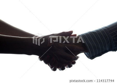 Handshake of two women, a business agreement - silhouette 114317744