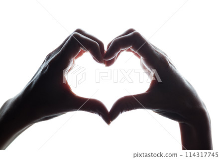 Female hands as a symbol of the heart 114317745