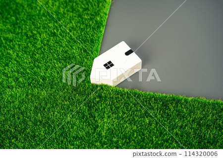 The house consumes natural lands. Development and growth of cities. Expansion of human settlements. Damage to nature. Regulation and environmental protection. 114320006
