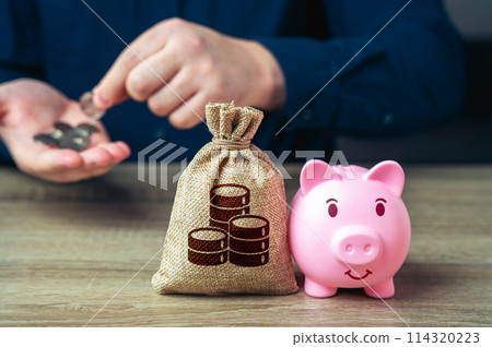 Save money. Financial planning. Collect for a dream. Invest in ideas and life goals. 114320223