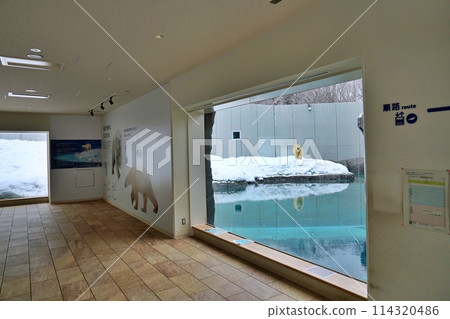 札幌丸山動物園北極熊館 札幌丸山動物園北極熊館 114320486