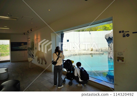 札幌丸山動物園北極熊館 114320492