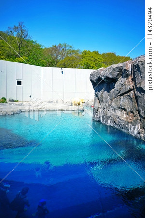 札幌丸山動物園北極熊館 114320494