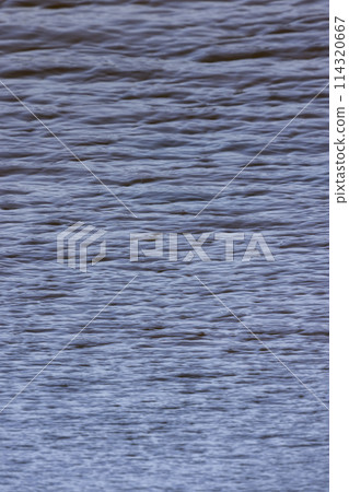 sunlit waves on the river in windy weather sunlit waves on the river in windy weather 114320667