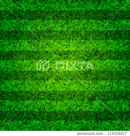 Soccer playing field with green grass. Football pitch background with stripes. Sports ground, stadium with fake or natural grass. Vector illustration Soccer playing field with green grass. Football pitch background with stripes. Sports ground, stadium with fake or natural grass. Vector illustration 114320817