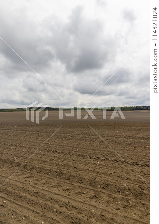 the soil in an agricultural field in cloudy weather 114321024