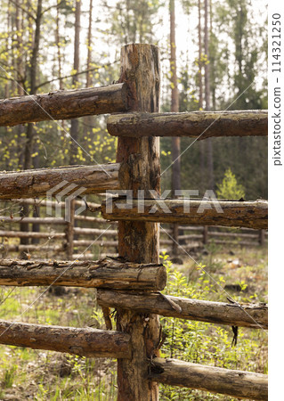an old primitive fence in the forest from animals 114321250