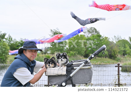 埼玉縣白岡市(芝山沼澤)與吉娃娃散步的主角鯉魚旗 埼玉縣白岡市(芝山沼澤)與吉娃娃散步的主角鯉魚旗 114321572
