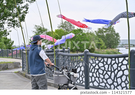 埼玉縣白岡市（芝山沼澤）與吉娃娃散步的主角鯉魚旗 114321577