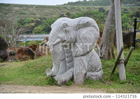 大像對象 114321716