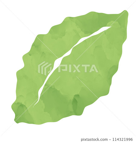 插圖素材葉樹植物水彩 114321996