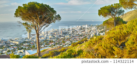 Cape Town, nature and adventure in South Africa for travel, journey and green with plants and trees. Landscape, sea and holiday or vacation for freedom, buildings and architecture for location Cape Town, nature and adventure in South Africa for travel, journey and green with plants and trees. Landscape, sea and holiday or vacation for freedom, buildings and architecture for location 114322114