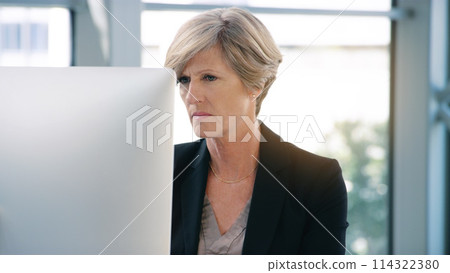 Businesswoman, mature and computer on desktop for corporate job, internet connection and reading email. Expertise, tech and face of senior ceo in office with web, checking schedule and executive work Businesswoman, mature and computer on desktop for corporate job, internet connection and reading email. Expertise, tech and face of senior ceo in office with web, checking schedule and executive work 114322380
