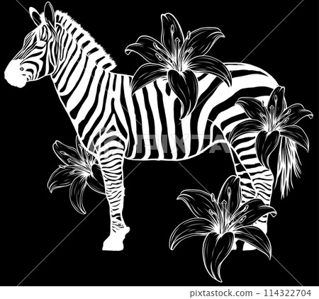 white silhouette of Zebra with hibiscus flower on black background vector 114322704