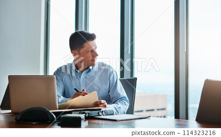 You have the power to make your dreams come true. a mature businessman working at his desk. 114323216