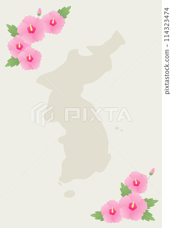 Korean Anniversary Illustration with Rose of Sharon. Korean Anniversary Illustration with Rose of Sharon. 114323474