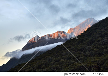Scenic mountain landscape in New Zealand 114323560
