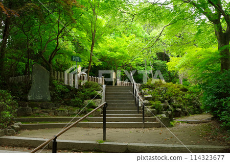 Togyo-an, the grave of Takasugi Shinsaku Togyo-an, the grave of Takasugi Shinsaku 114323677