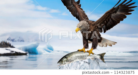 AI-generated image of a Steller's sea eagle catching a salmon and flying over drift ice 114323875