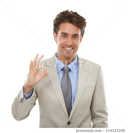 Business man, portrait and ok in studio for vote, review sign and like feedback on white background. Happy worker show okay for success, agreement and thank you for support, yes emoji and excellence Business man, portrait and ok in studio for vote, review sign and like feedback on white background. Happy worker show okay for success, agreement and thank you for support, yes emoji and excellence 114325200