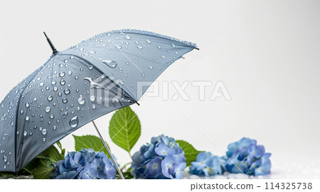 Blue umbrella and hydrangea in the rain 114325738