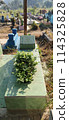The unkempt mystical graves of Muslims look scary 114325828