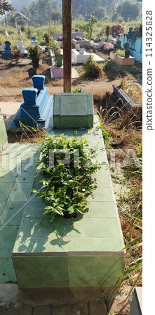 The unkempt mystical graves of Muslims look scary 114325828