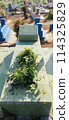 The unkempt mystical graves of Muslims look scary 114325829