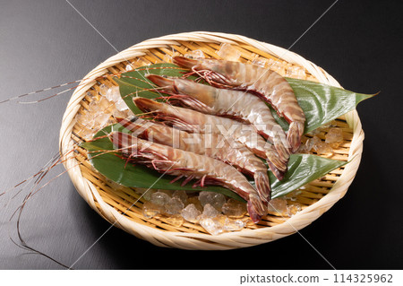 [Indonesia] Wild shrimp with head 114325962