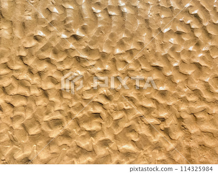 Wet yellow sand on the beach for the background. Sand texture 114325984