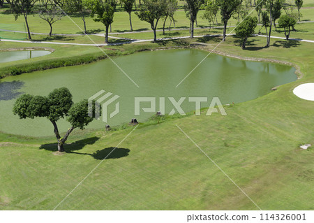 Golf course with lake and trees. Top view. 114326001