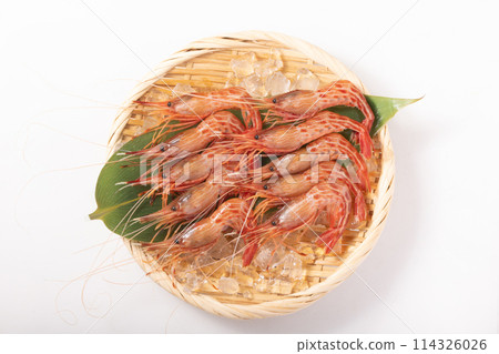 [Hokkaido] Hokkaido Shrimp for Sashimi 114326026