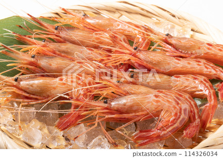 [Hokkaido] Hokkaido Shrimp for Sashimi 114326034