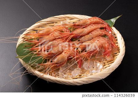 [Hokkaido] Hokkaido Shrimp for Sashimi 114326039