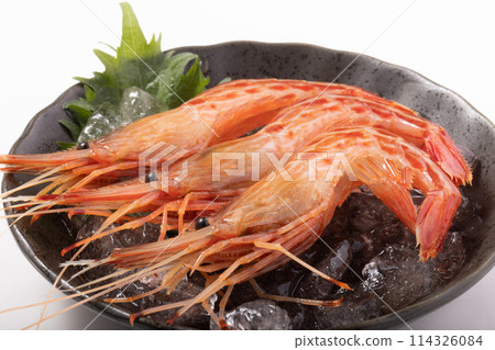 [Hokkaido] Hokkaido Shrimp Sashimi 114326084