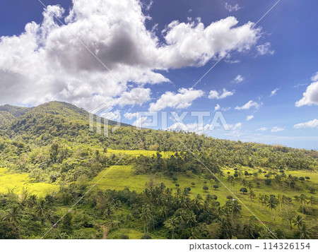 Tropical hills covered with palm trees against the blue sky and clouds Tropical hills covered with palm trees against the blue sky and clouds 114326154