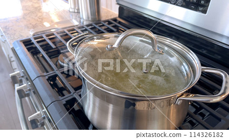 Captured in a home kitchen, this image features a stainless steel pot with boiling water on a gas stove, showcasing a common culinary preparation step with steam rising from the pot under natural 114326182