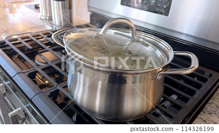 Captured in a home kitchen, this image features a stainless steel pot with boiling water on a gas stove, showcasing a common culinary preparation step with steam rising from the pot under natural Captured in a home kitchen, this image features a stainless steel pot with boiling water on a gas stove, showcasing a common culinary preparation step with steam rising from the pot under natural 114326199