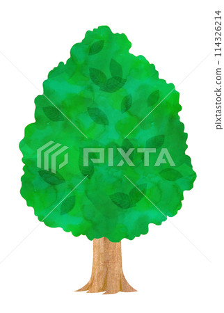 Tree cartoon Tree cartoon 114326214