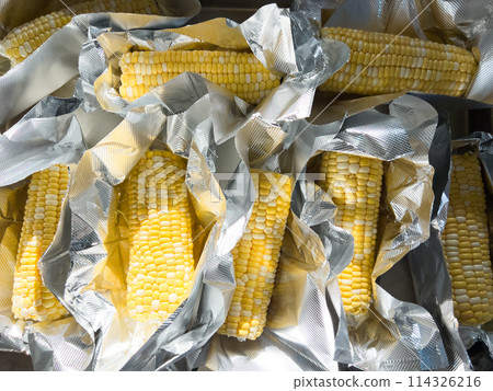 This image showcases fresh corn on the cob, neatly arranged in vacuum-sealed plastic packaging to preserve its freshness and flavor, ready for distribution or sale. 114326216