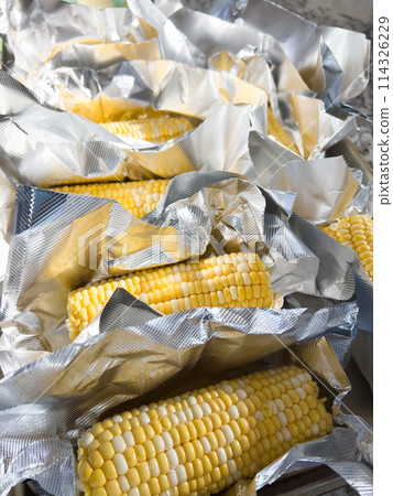 This image showcases fresh corn on the cob, neatly arranged in vacuum-sealed plastic packaging to preserve its freshness and flavor, ready for distribution or sale. 114326229
