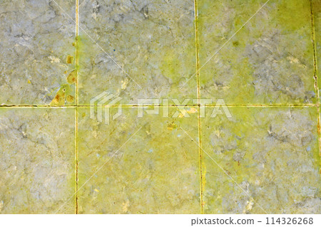 algae and dirt on the floor and walls of the pool algae and dirt on the floor and walls of the pool 114326268