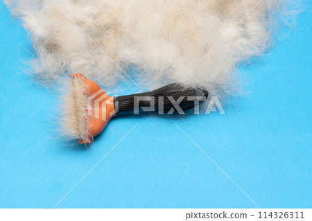 furminator for grooming animals. dog hair on a blue background furminator for grooming animals. dog hair on a blue background 114326311